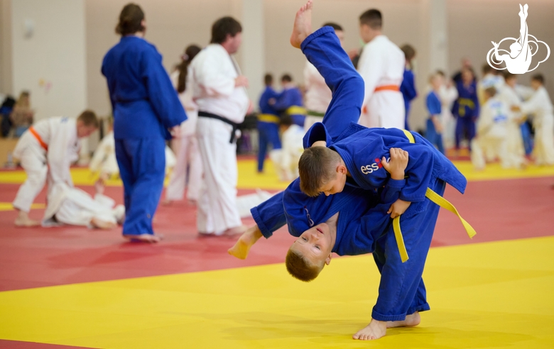 Участники фестиваля дзюдо
