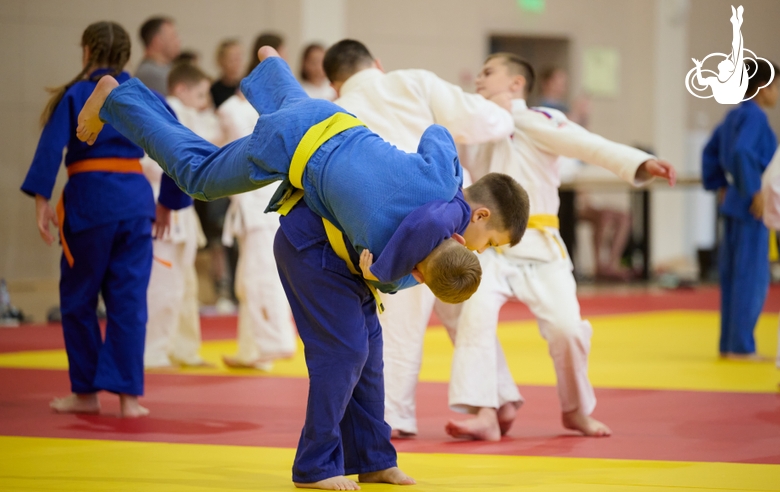 Участники фестиваля дзюдо