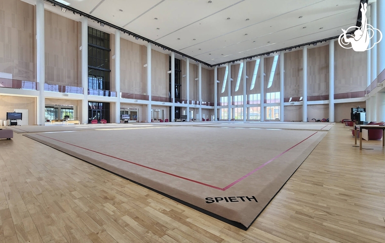 Ковер в тренировочном зале Академии