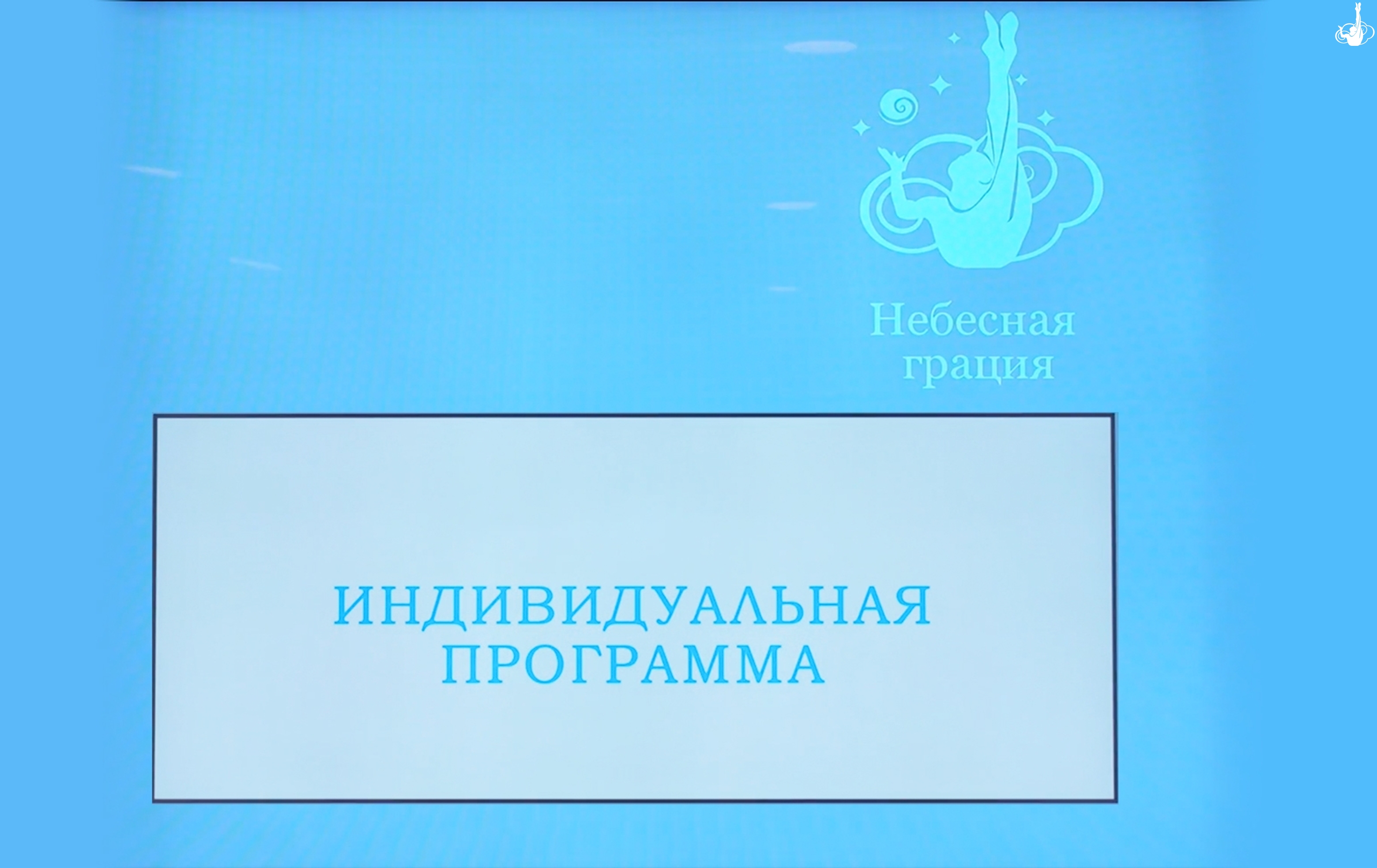Семинар по правилам Международной Ассоциации клубов «Небесная грация», 2025