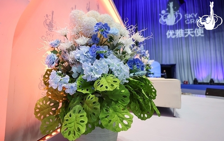 Подготовка перед стартом турнира «Небесная грация» — 2023