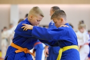 Юные участники фестиваля дзюдо