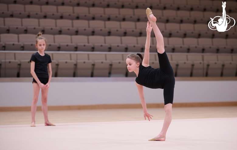 Отбор дошкольников в группы дополнительного образования