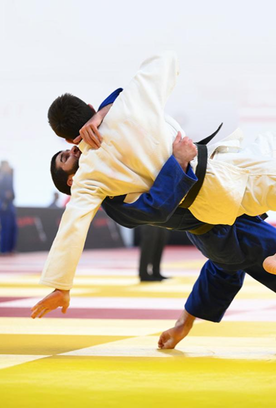 С Днем дзюдо!