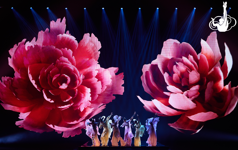 Номер «Цветы»