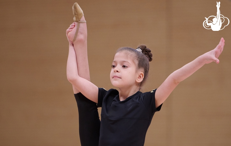 Отбор дошкольников в группы дополнительного образования