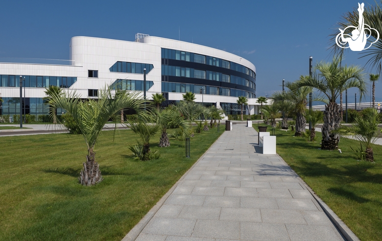 Вид на здание Академии