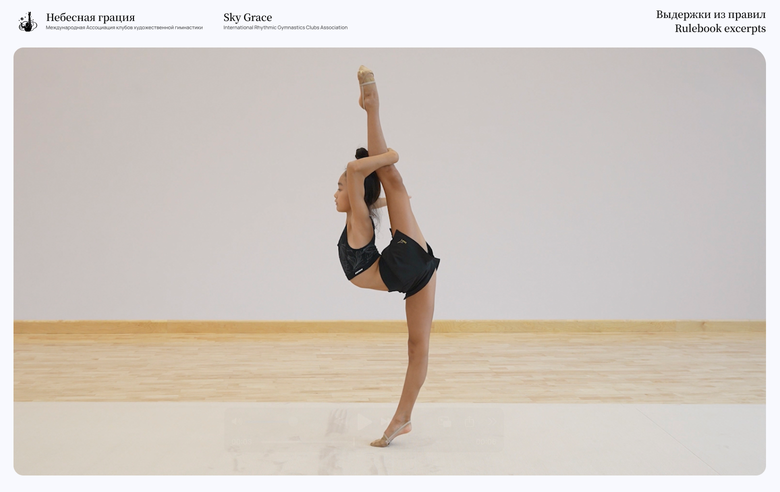 «Выдержки из правил». Равновесие Араповой