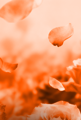 Воспитанницы Академии выступят на всероссийских соревнованиях «Юные гимнастки