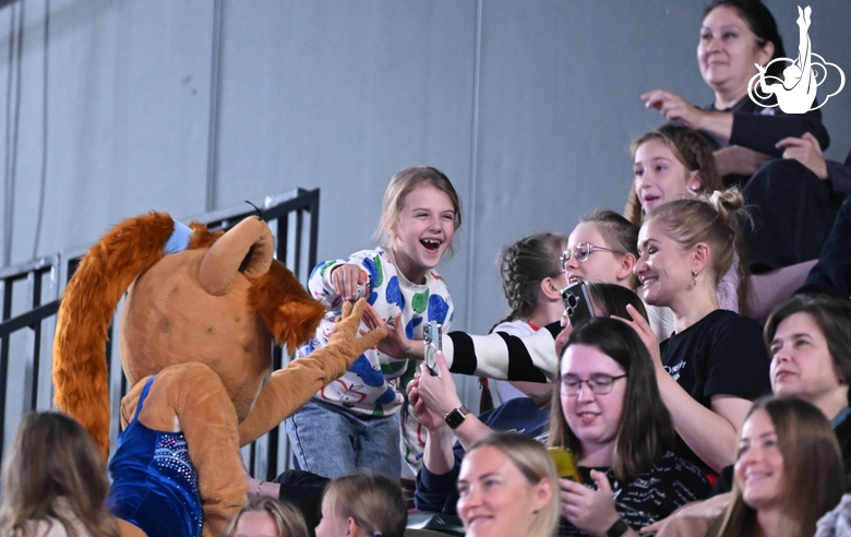 Болельщики во время соревнований