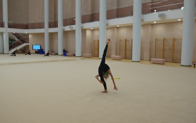 «Сейчас ты поймешь технику этого пируэта»