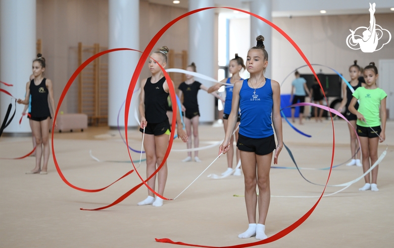 Гимнастки во время занятия на учебно-тренировочных сборах в Академии