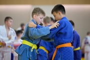 Юные участники фестиваля дзюдо